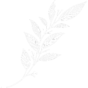 Category Image