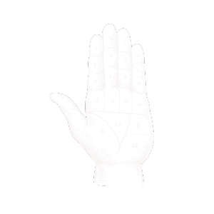 Category Image